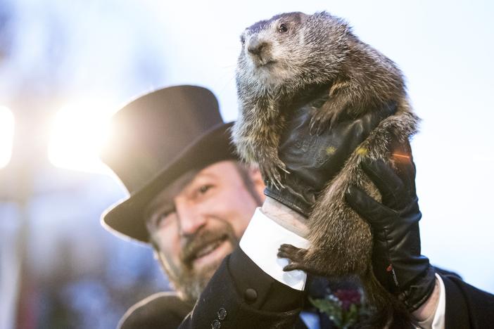 Punxsutawney Phil is held up by his handler for the crowd to see during the ceremonies for Groundhog day in 2018 in Punxsutawney, Pennsylvania.