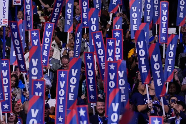 In this file photo from the Democratic National Convention in Chicago on Aug. 20, 2024, delegates and guests wave signs that say "Vote." On Saturday, the DNC's voting members will elect a new party chair to usher in the future of the Democratic Party.