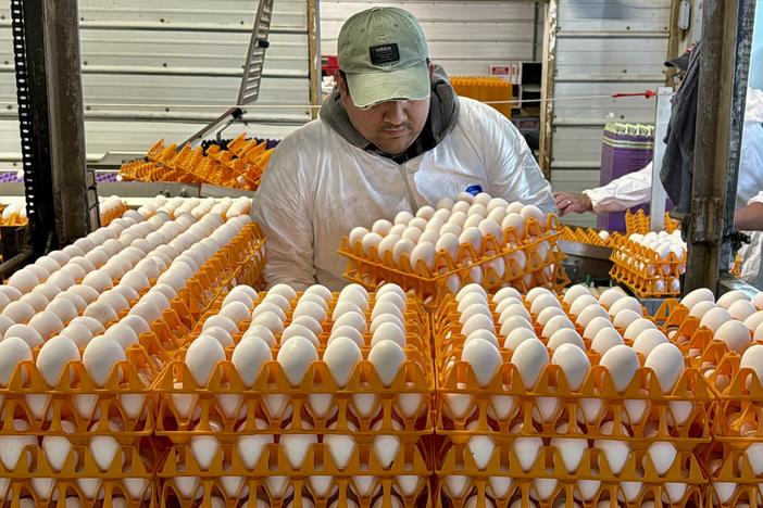 A worker moves crates of eggs on Jan. 11, 2024 at the Sunrise Farms processing plant in Petaluma, Calif., which has seen outbreaks of avian flu.
