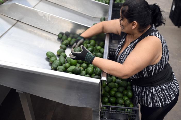 President Trump has threatened to impose steep tariffs on imports from Mexico and Canada as early as Saturday.  Mexico supplies more than a quarter of all the fresh fruit and vegetables in the U.S., including avocados which are popular for Super Bowl dip.