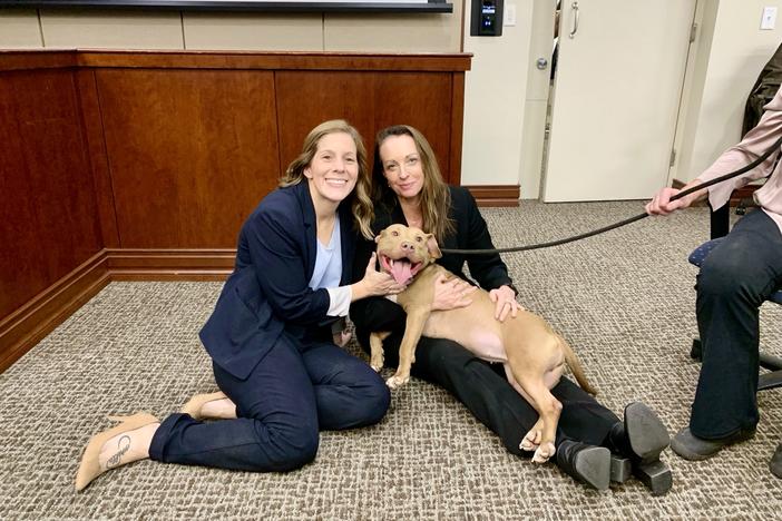 Prosecutors Jessica Rock, right, and K.C. Pagnotta pose with Baby Shark — who was rescued from the alleged dogfighting operation as a puppy in 2022 — at the sentencing last week.