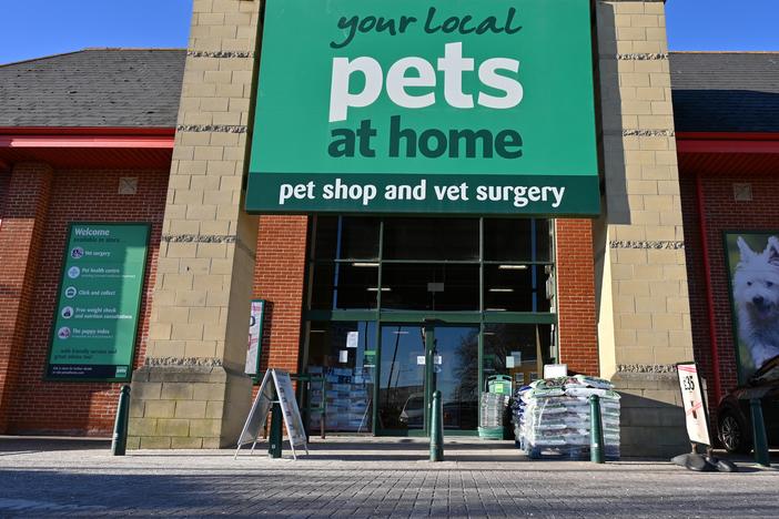 Pets At Home in Southend, U.K., is one retailer to be selling dog treats made from lab-grown meat.