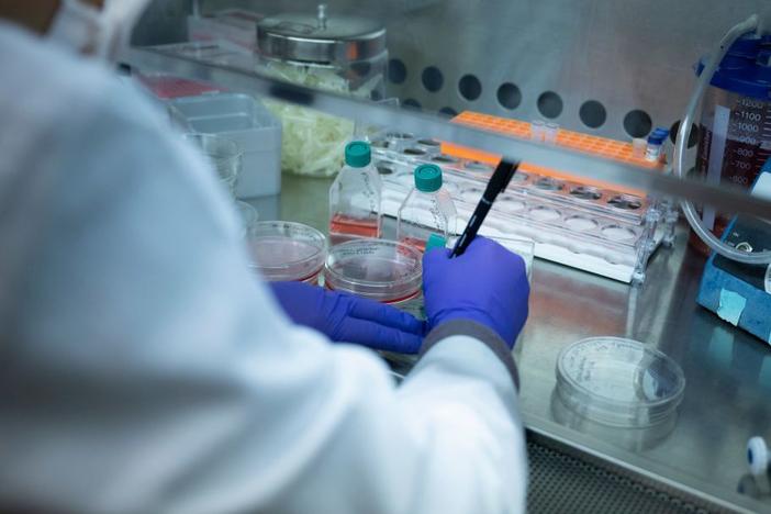 A laboratory studying sickle cell disease at the National Heart, Lung, and Blood Institute's Cellular and Molecular Therapeutics Laboratory, at the National Institutes of Health on Feb. 8, 2024, in Bethesda, Md.