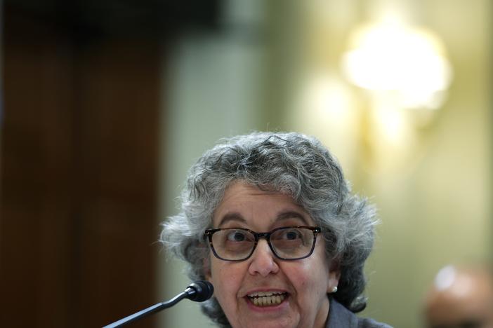 Federal Election Commission member Ellen Weintraub testifies on Capitol Hill on Sept. 20, 2023.