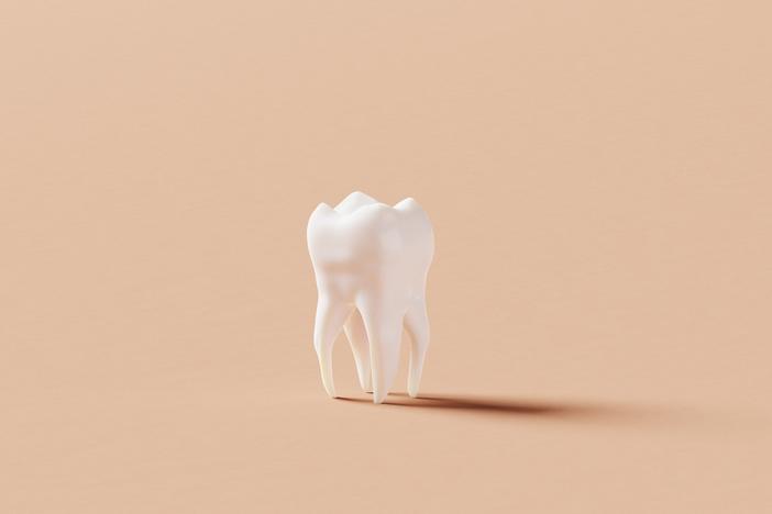 An illustration of a single clean white tooth.