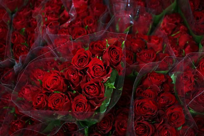 Roses are seen on display at the Bagala Bros flower stand at Sydney Markets in Sydney, Australia, ahead of Valentine's Day 2022.