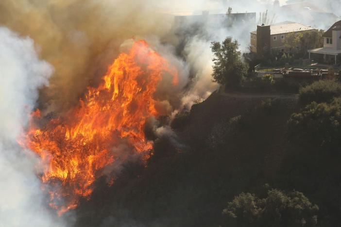 Fire experts say trimming the vegetation directly around a home goes a long way in reducing fire danger, but clearing vast areas of Los Angeles' chaparral brush could actually make the problem worse.