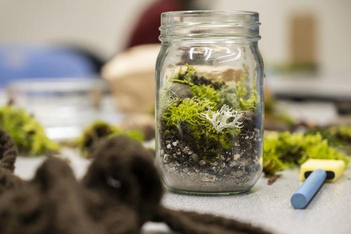 One of the activities at Moss Appreciation Week is a build-your-own-terrarium workshop.