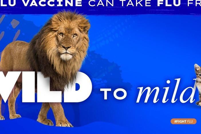 One of the social media graphics included in the "Wild to Mild" flu vaccination campaign run by the Centers for Disease Control and Prevention.