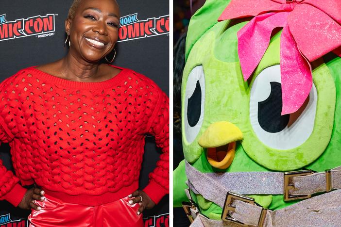 Jordan Chiles, Joy Reid, Duo the owl.