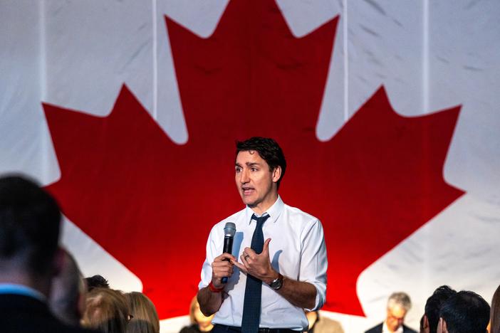Canadian Prime Minister Justin Trudeau described President Trump's fentanyl accusations as false and said his country would retaliate with trade tariffs phased in over the next month.