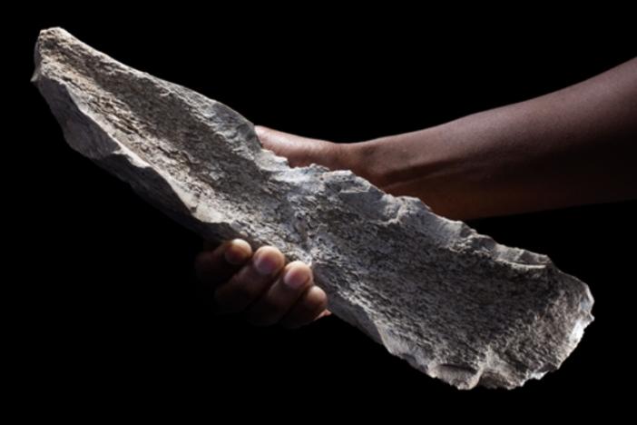 This photo shows a carved bone tool made from an elephant humerus dating back 1.5 million years.
