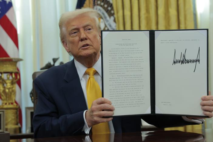 President Trump, through orders, firings and other changes, is remaking the existing system of checks on the president. Supporters say that is exactly the point.