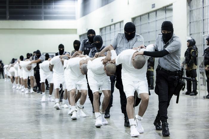 In this photo provided by El Salvador's presidential press office, prison guards transfer deportees from the U.S., alleged to be Venezuelan gang members, to the Terrorism Confinement Center in Tecoluca, El Salvador, Sunday, March 16, 2025.