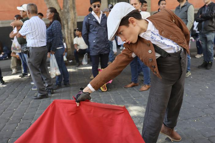 A young supporter of bullfighting joins a demonstration in support of bullfighting outside Mexico City's Congress where lawmakers are expected to debate its continuation in Mexico City on Tuesday.