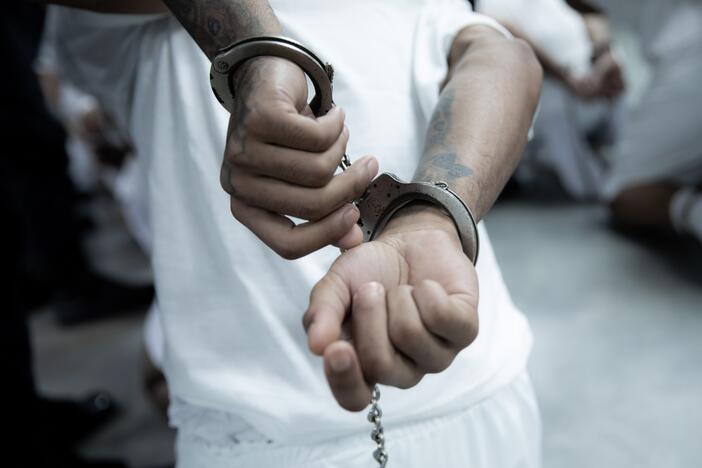 The Trump administration deported hundreds of alleged members of the Tren De Aragua and Mara Salvatrucha gangs to El Salvador over the weekend.