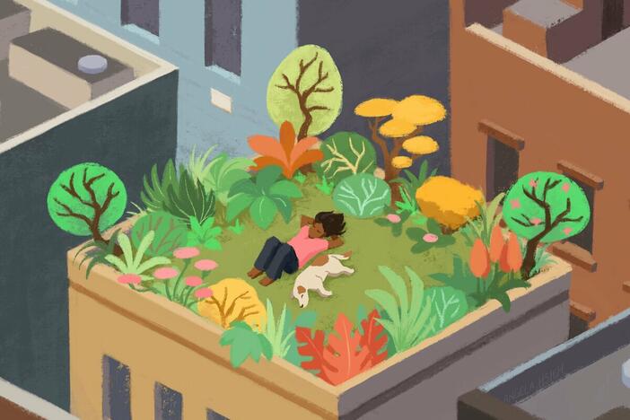 Researchers say there's growing evidence that nature has a powerful effect on us, improving both our physical and psychological health.