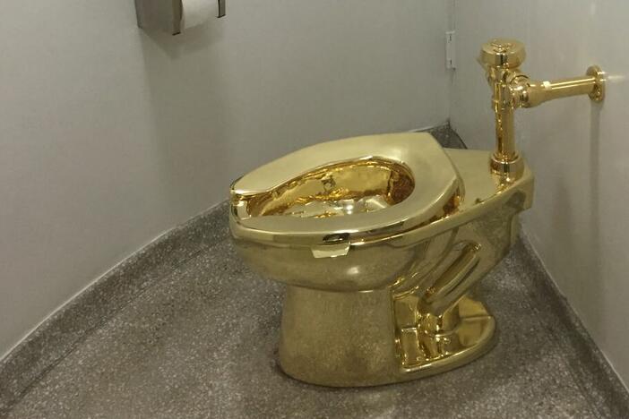 Have you seen this toilet?