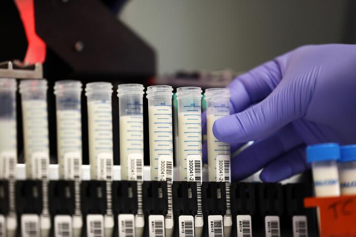 A lab manager in the molecular diagnostic lab prepares milk samples for testing at the Animal Health Diagnostic Center at Cornell University in Ithaca, N.Y., on Dec. 10, 2024, amid increased concern over a strain of the H5N1 avian flu.