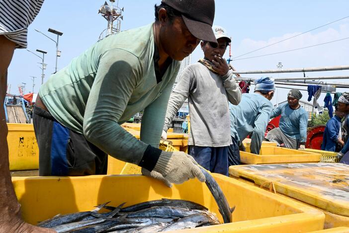 Indonesian fishermen unload their catch at the port in Jakarta on May 5, 2019.