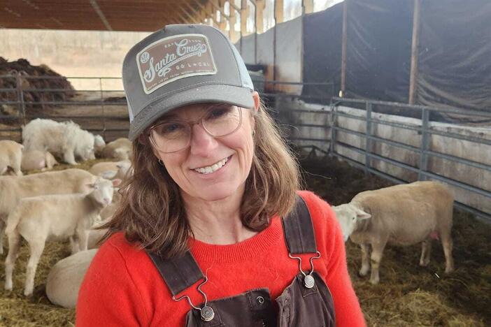 Kristin Kimball has grown her flock over the last decade from a dozen sheep to more than 250 animals. During lambing season, her day begins before dawn and ends long after dark, but she describes it as a joyous time.