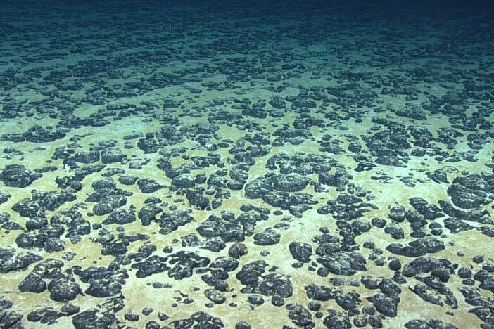 Nodules containing valuable metals can be found scattered across the seabed in some parts of the ocean. Here, manganese nodules found off the Southeastern U.S. in 2019.