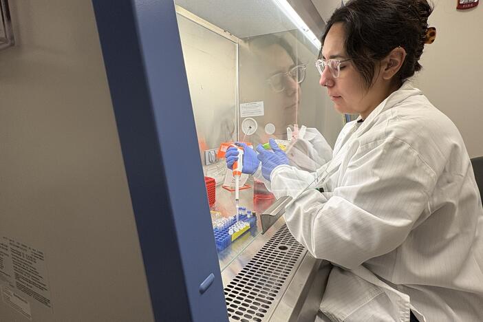 Adelaide Tovar, a postdoctoral geneticist at the University of Michigan, prepares cell samples in a science laboratory on campus. Tovar is one of about 200 young scientists who will lose research funding because the Trump administration abruptly ended the National Institute of Health's MOSAIC grant program. (Mike Hawkins)