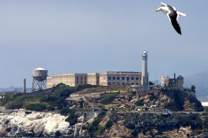 A seagull flies over Alcatraz Federal Penitentiary on Alcatraz Island July 2, 2003 in the San Francisco Bay, California.