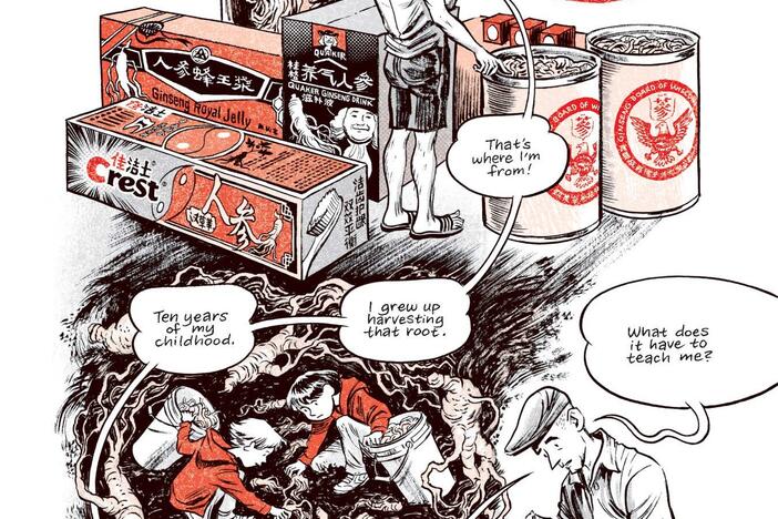 Craig Thompson's new graphic novel, <em>Ginseng Roots</em>, took eight years to complete.