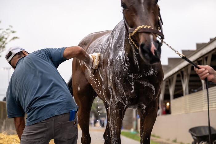 A worker bathes a racehorses on the backside of a horse racing track in Louisville, Ky., on April 30, 2025.