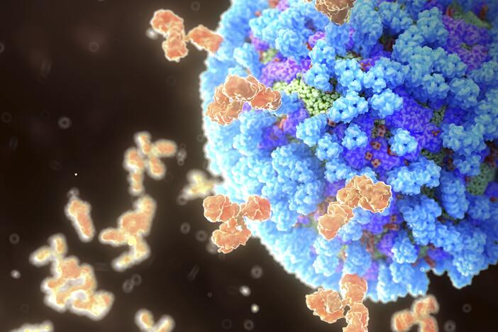 A universal vaccine against flu wouldn't have to be updated to match seasonal changes in circulating strains.