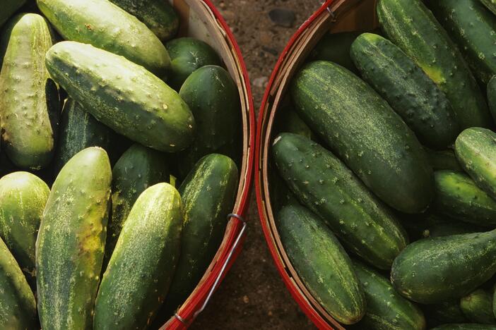 The FDA is warning people not to sell, serve or eat cucumbers grown by Bedner Growers and distributed by Fresh Start Produce Sales between April 29 and May 19.