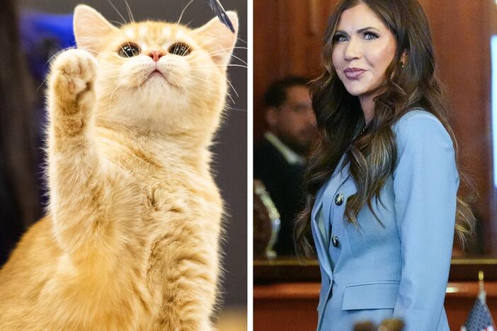 From left: Vice President Vance, an orange cat, Secretary of Homeland Security Kristi Noem