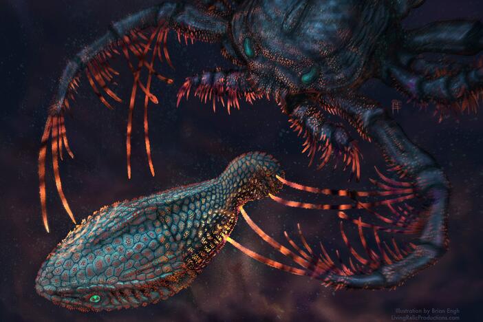 This illustration depicts the early jawless vertebrate <em>Astraspis</em> being attacked by the sea-scorpion <em>Megalograptus</em> in dark, shallow waters. Both animals likely had tooth-like scales on their bodies that would have allowed them to sense things in the waters around them.