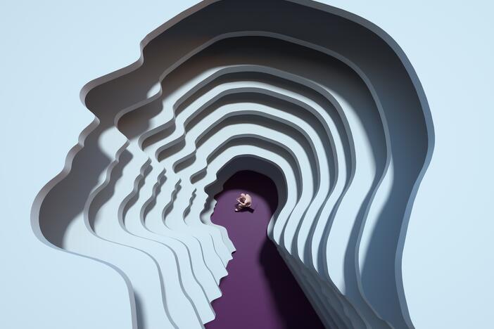 A study of mice and people looks at how the brain takes an experience and responds with an emotion.<br>