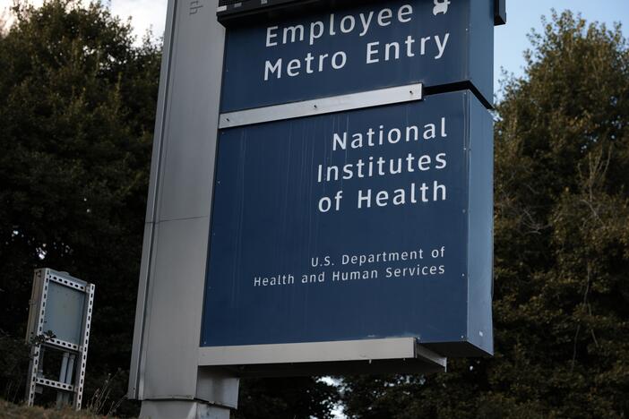 Hundreds of NIH scientists protested cuts to the research agency in a declaration addressed to NIH Director Jay Bhattacharya.