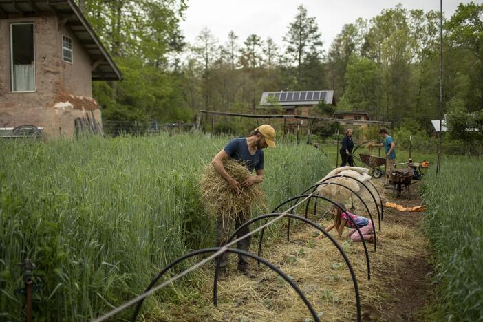 Earthaven Ecovillage members work together to plant crops in their shared garden. Like many ecovillages, Earthaven's culture is built on a strong spirit of collaboration.