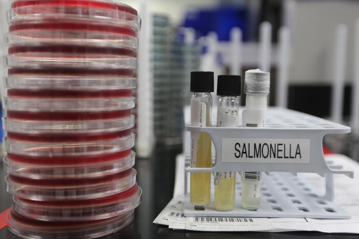 Agar plates with salmonella cultures ready for testing in the Medical Microbiology at the Houston Health and Human Services Department on June 18, 2015, in Houston.