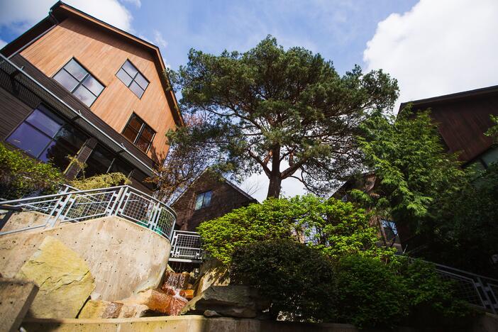 The Boulders development, built in 2006 in Seattle's Green Lake neighborhood, features a mature tree along with a waterfall. The developer also added mature trees salvaged from other developments — placing them strategically to add texture and cooling to the landscaping.