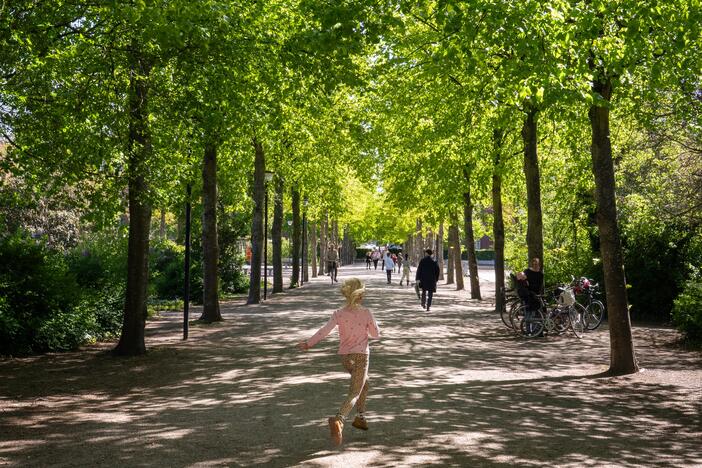Copenhagen, Denmark, is expected to receive 30% more rainfall by the end of the century. The city is responding with a massive long-term adaptation plan. Enghaveparken, pictured here, is part of that plan. The park was redesigned after a 2011 flood to be able to transform into a massive reservoir in the event of heavy rain.