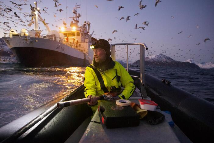 Spatial ecologist Emma Vogel photographed biologist Audun Rikardsen as they tracked whales in a fjord in northern Norway.