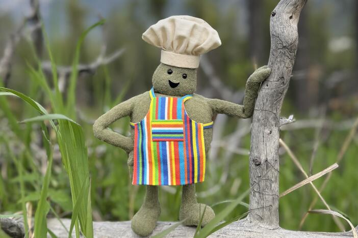 There's an uprising among Tiny Chef fans who are angry Nickelodeon has canceled his show.