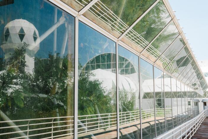 Trees grow against the windows at Biosphere 2 on June 20, 2025 in Oracle, Ariz., U.S.