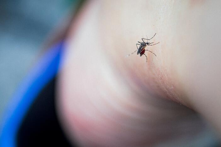 Do your ankles feel like a buffet these days? Test your knowledge of tactics to prevent bites.