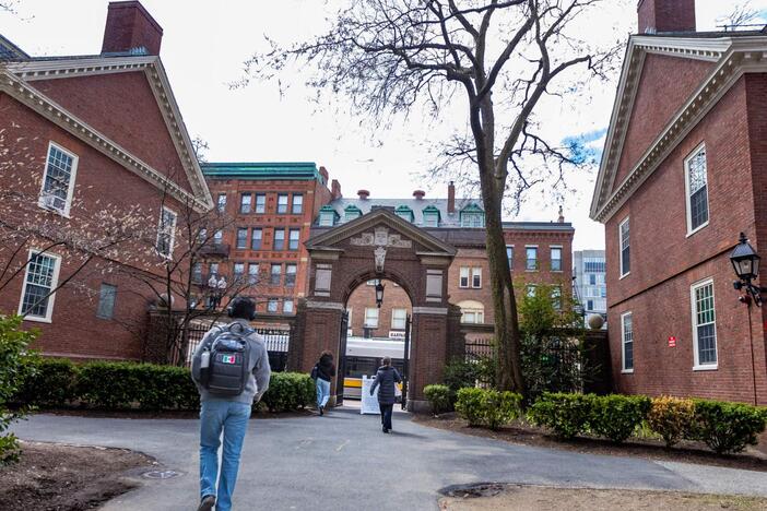 Students walk through Harvard Yard.