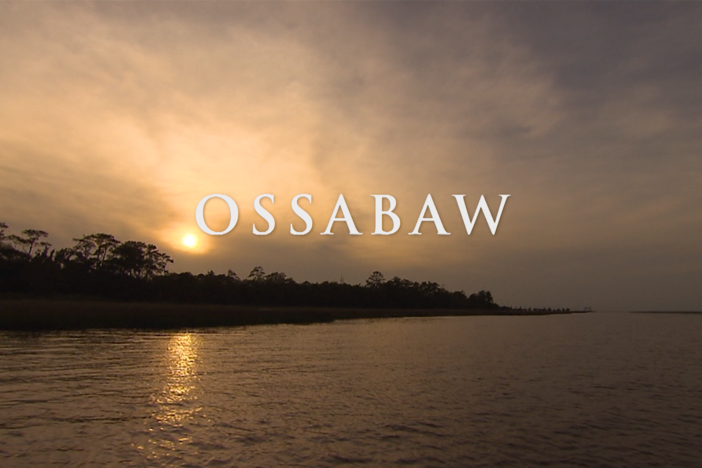 Ossabaw: asset-mezzanine-16x9