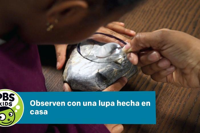 Observen con una lupa hecha en casa: asset-mezzanine-16x9