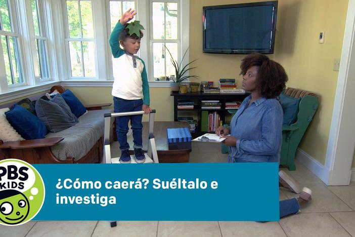 ¿Cómo caerá? Suéltalo e investiga: asset-mezzanine-16x9
