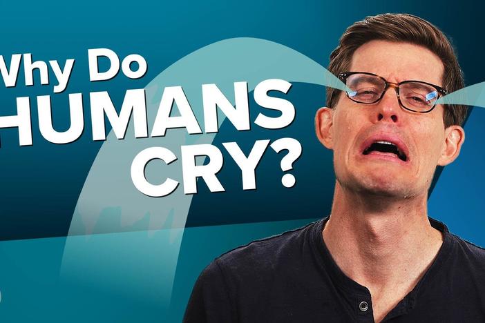 Why Do We Cry?: asset-mezzanine-16x9