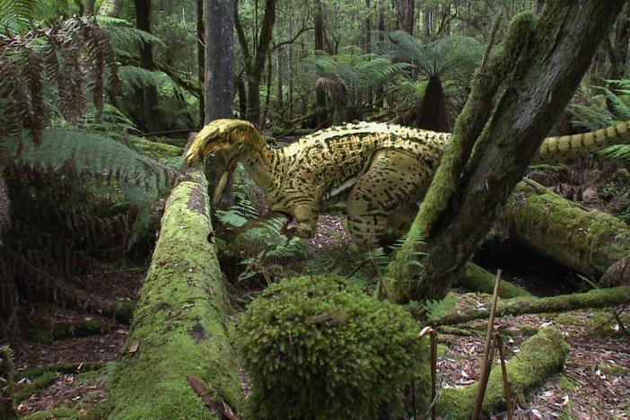 Australia's First 4 Billion Years: Monsters: asset-mezzanine-16x9